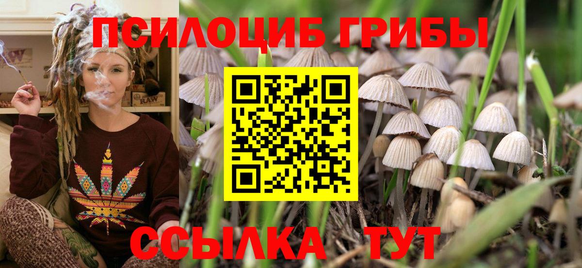 Псилоцибиновые грибы MAGIC MUSHROOMS  Зеленодольск 