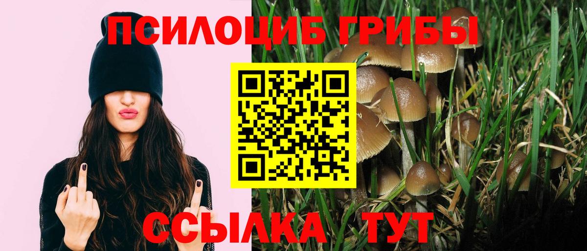 Галлюциногенные грибы Cubensis Зеленодольск